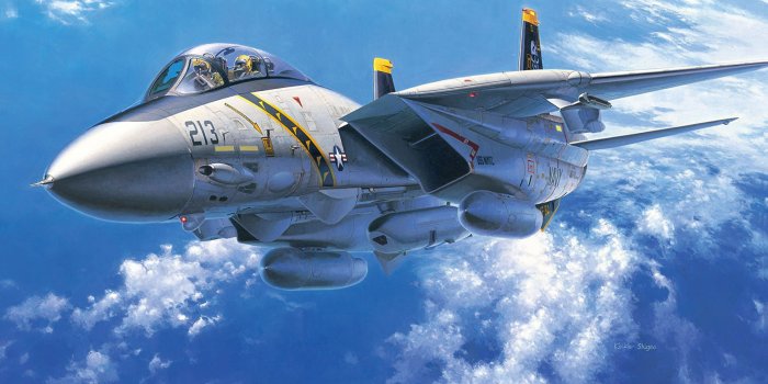 1962x1512 Download Military Grumman F-14 Tomcat