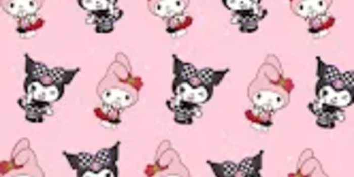 1020x1819 Kuromi My Melody Wallpaper 4K for