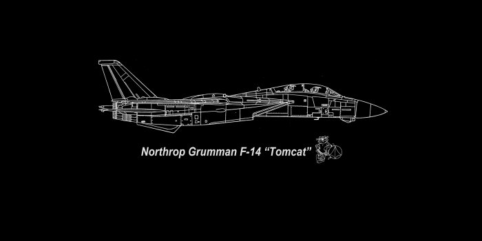 2560x1440 F-14 Tomcat, jet fighter, United States
