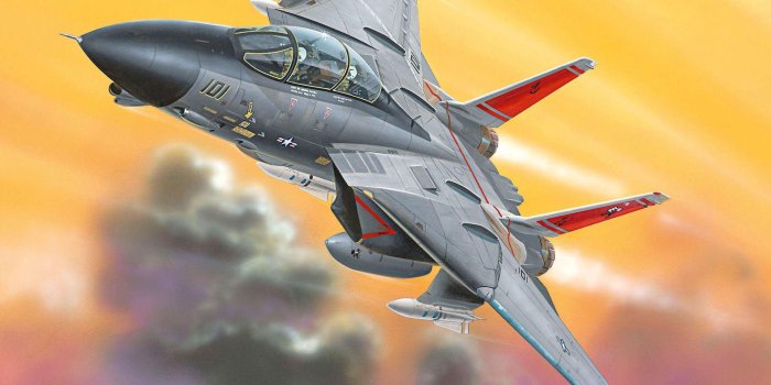 1920x1080 Download Military Grumman F-14 Tomcat