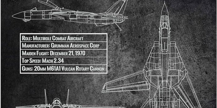 894x894 Grumman F-14A Tomcat wall art print