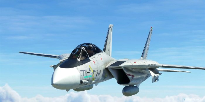 1400x724 Grumman F-14A Tomcat Derpybolt Eddition