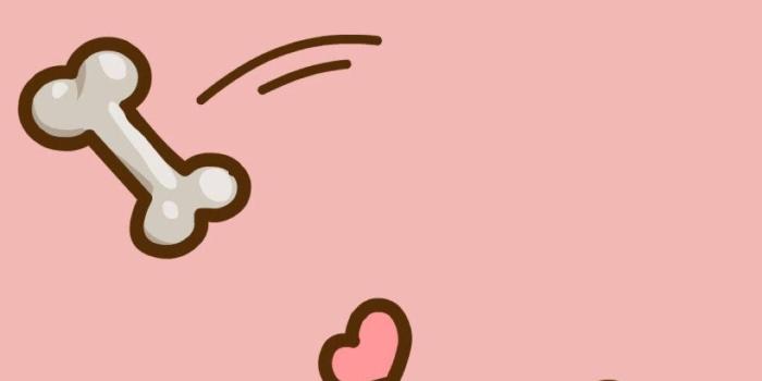 1080x1920 Download free Cartoon Dog Catching A