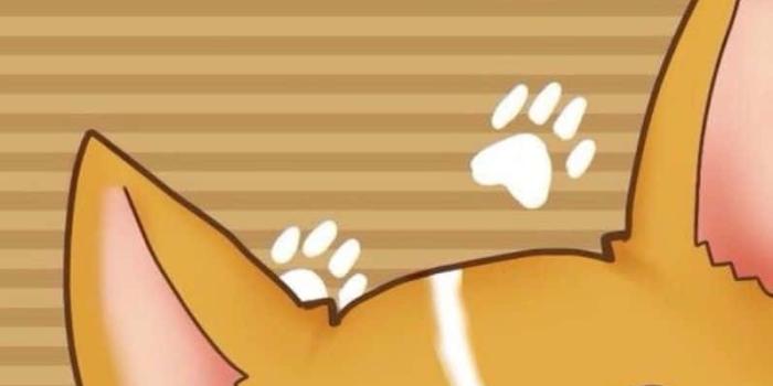796x1419 Download Anime Dog Background