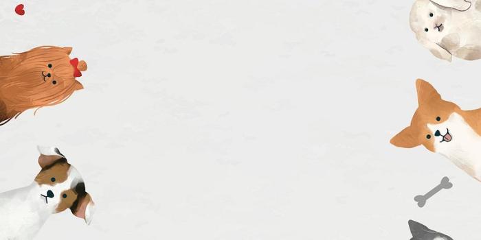 800x1200 Cartoon Cats And Dogs Images | Free