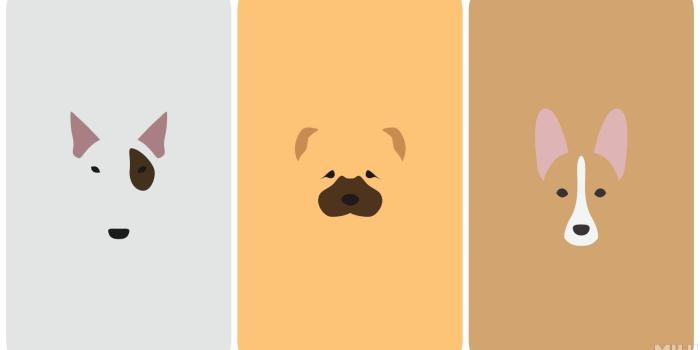 1600x900 Dog Anime Wallpapers