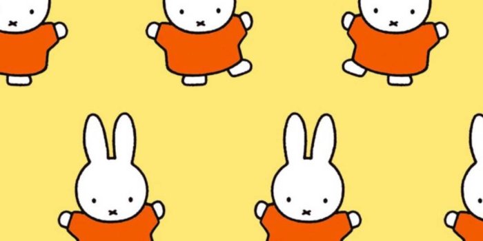 1080x1920 Miffy In Orange Pattern Wallpaper