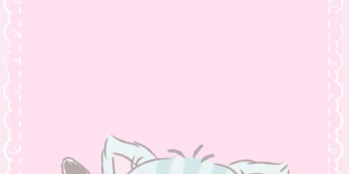 886x1920 ʚ♡ɞ — Sanrio characters wallpapers