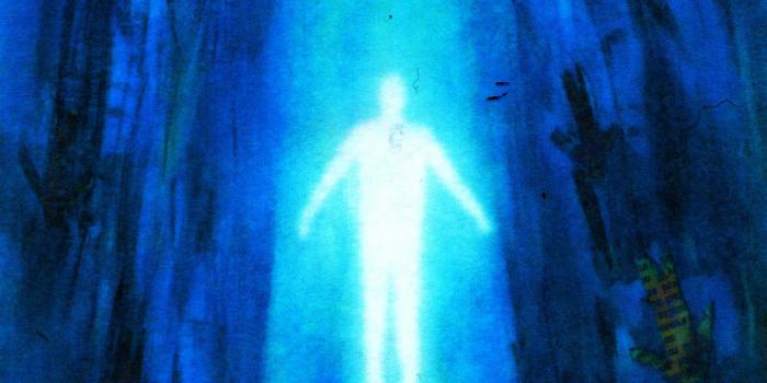 1478x1478 lonewolf on X: 