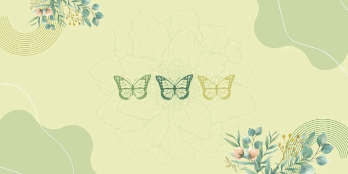 900x506 100+] Sage Green Laptop Wallpapers
