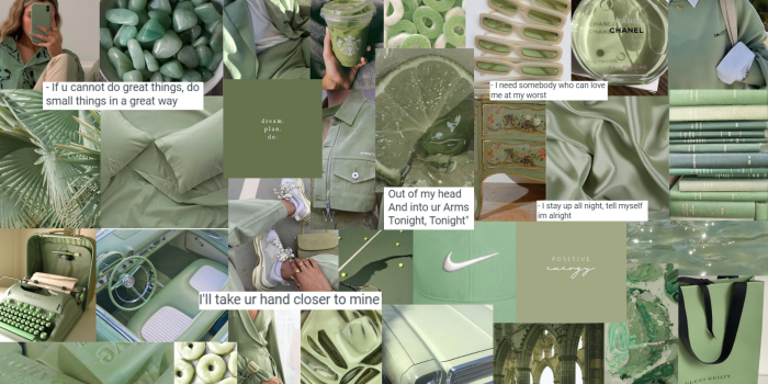 1920x1080 sage green aesthetic laptop wallpaper