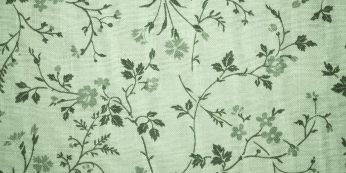1920x1080 Sage Green Laptop Wallpapers