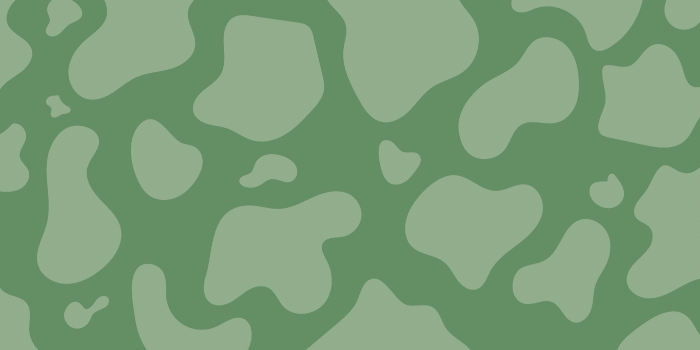 2560x1440 Aesthetic Light Green Laptop Wallpapers