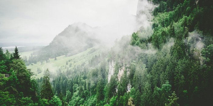 6000x4000 Green Wallpapers: Free HD Download