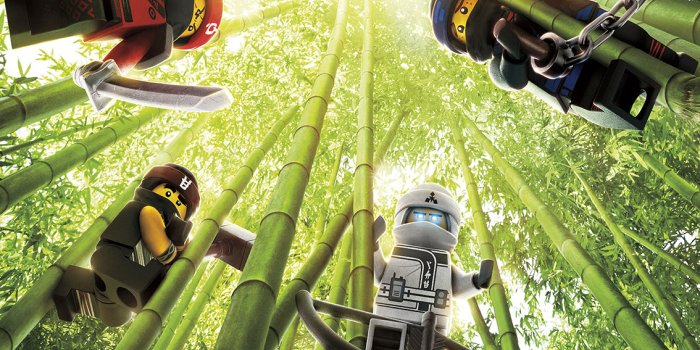 1134x794 NINJAGO Lego Woven Self-Adhesive