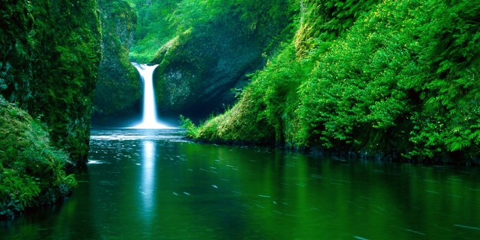 1920x1080 Green - Desktop Wallpaper