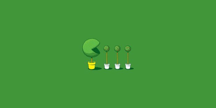 1920x1080 Top 23 Best Green Minimalist Wallpapers