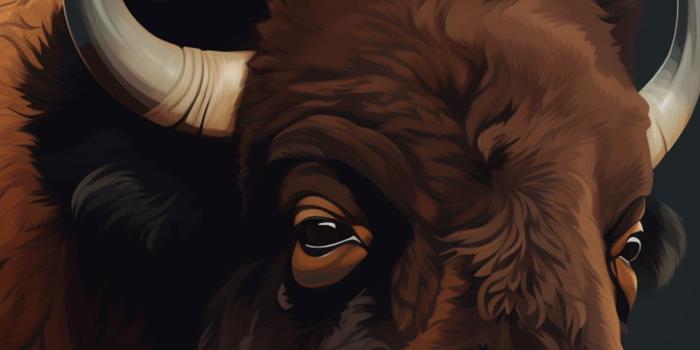 1183x2560 Bison Black Wallpapers - Aesthetic