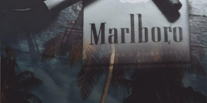 1080x1920 Top 15 Best Palm Angels Wallpapers [ HQ ]