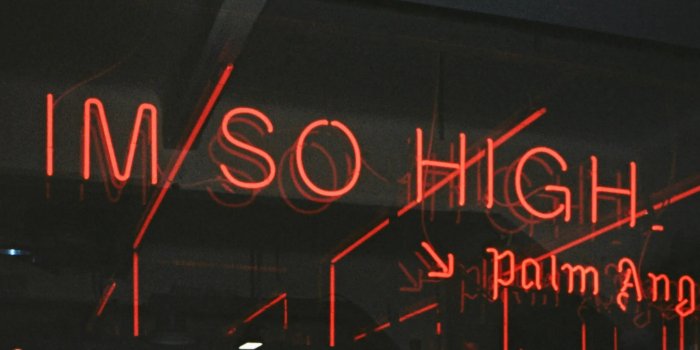 2560x1440 Top 15 Best Palm Angels Wallpapers [ HQ ]