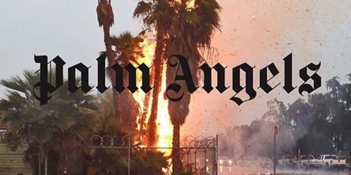 950x950 100+] Palm Angels Wallpapers