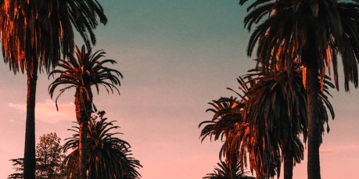 800x1200 100+ Los Angeles Wallpapers That Show