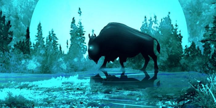 938x1668 wallpaper 938x1668 bison, moon, night