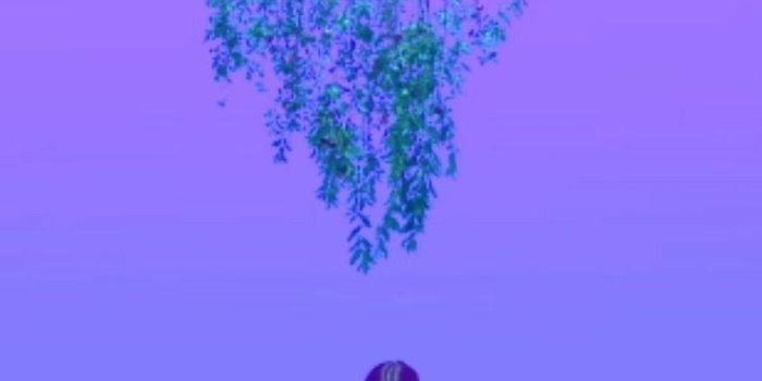 736x1309 Loona wallpapers — Reblog or like if