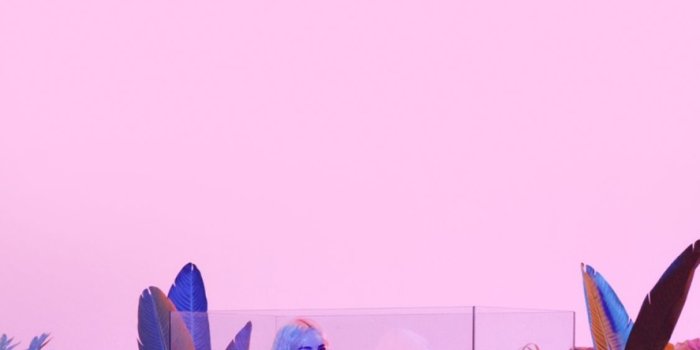 887x1920 Loona wallpapers — Reblog or like if