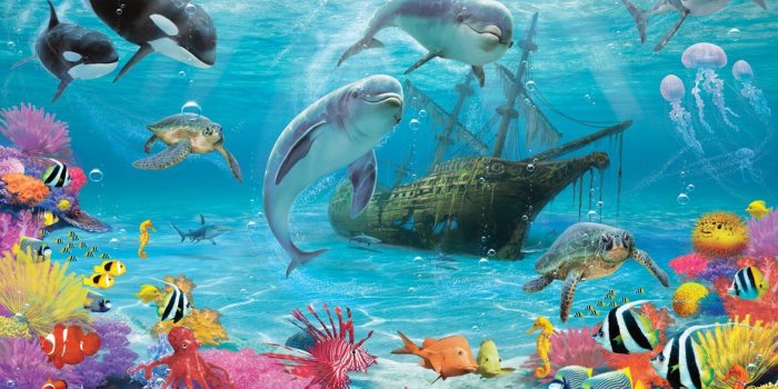 1173x932 Under the Sea Wallpaper Mural | Under