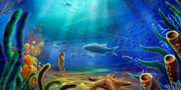 2880x1800 Under Sea Wallpapers