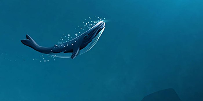1084x1920 Whale Under The Ocean Wallpaper