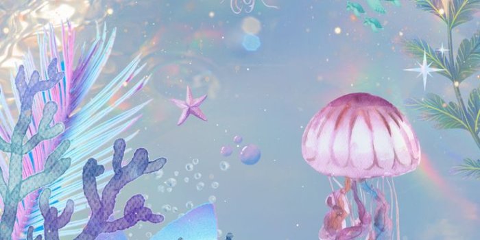 736x1592 Under the sea iphone wallpaper