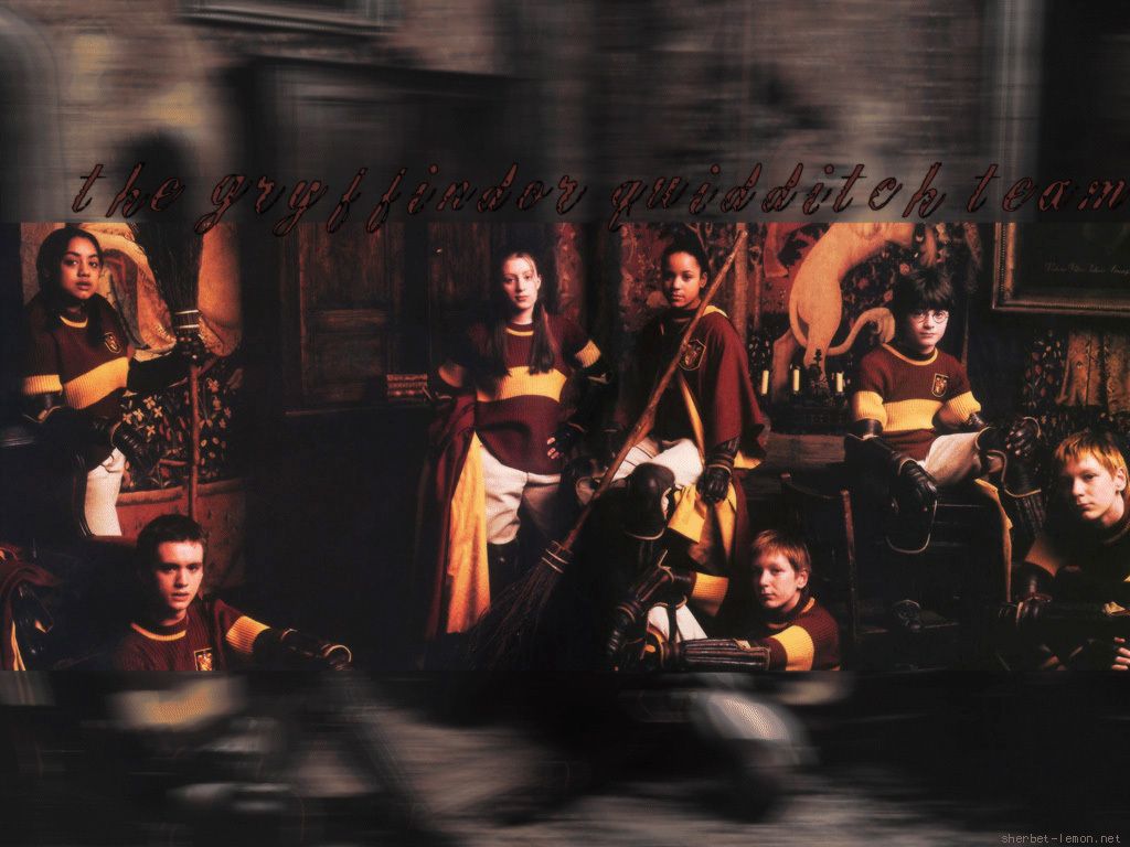 1024x768 Gryffindor Team - Quidditch Wallpaper (9740696) - Fanpop