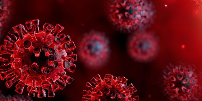 1600x900 What's Next for the Coronavirus