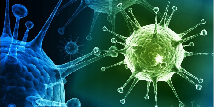 1500x1041 Research probes interaction between