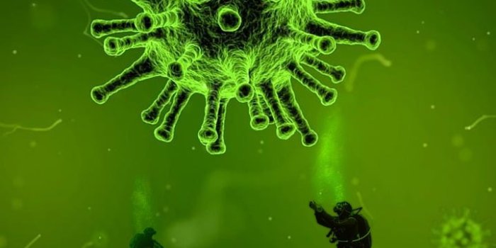720x1280 Download Diving, Virus, Underwater