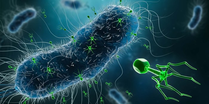 1920x1080 Understanding Virus Survival | Newsroom