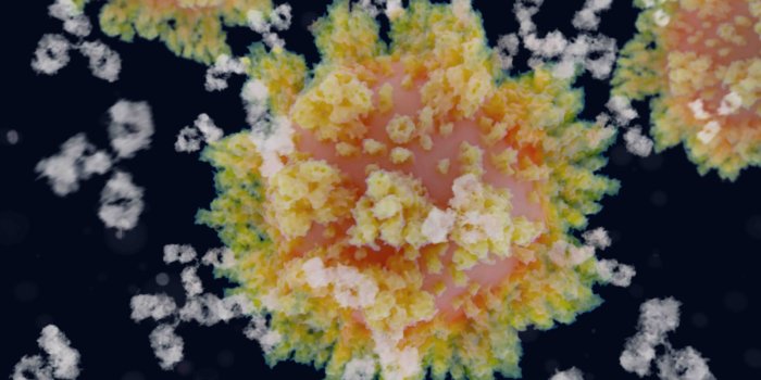 1600x1200 An illustration of antibodies (Y-shaped
