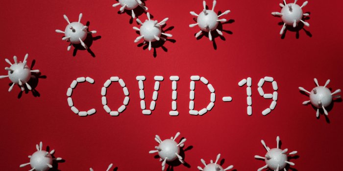 8192x5461 Virus Photos, Download The BEST Free