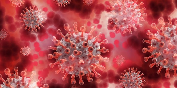 1920x1280 ViPER - Virus Particle Exposure in