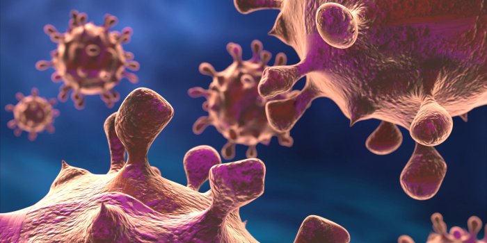 1920x1342 Viruses Can Transfer Genes Across
