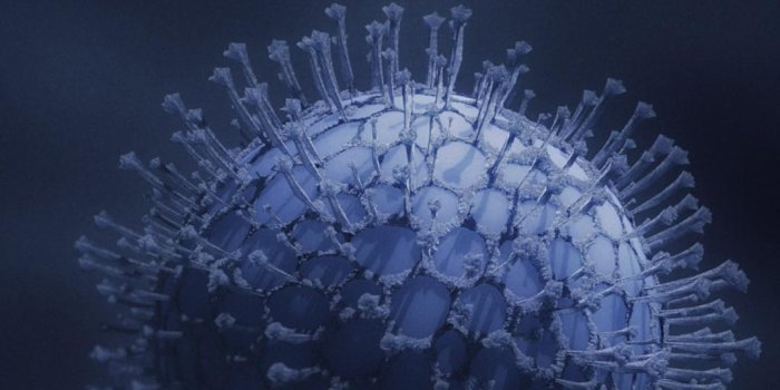 1080x2400 Virus phone wallpaper : r/blender