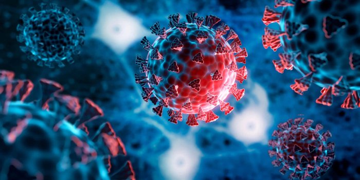 1920x1056 100+] Virus Wallpapers | Wallpapers.com