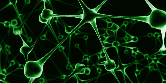 1440x900 virus-infected-green-wallpaper | ARTC