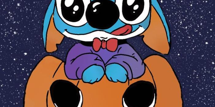 736x1177 Cute Disney Stitch Cartoon Dog on Pumpkin
