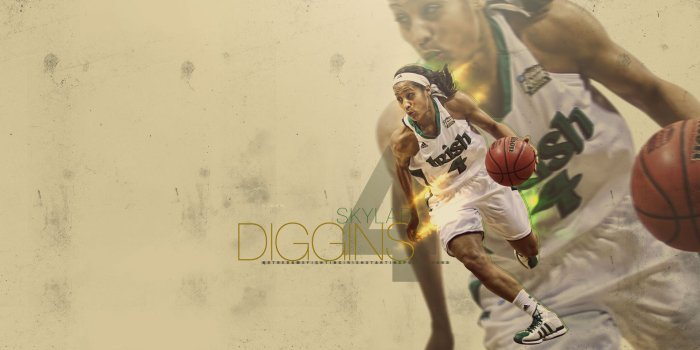 1920x1080 WNBA Wallpapers | Basketball Wallpapers