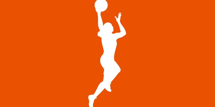 1600x990 A new mark for the WNBA. - The TOM Agency