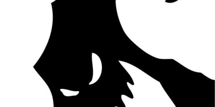 736x1308 Oogie Boogie Wallpaper | Halloween