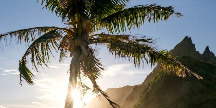 1500x2667 American Samoa National Park Mobile